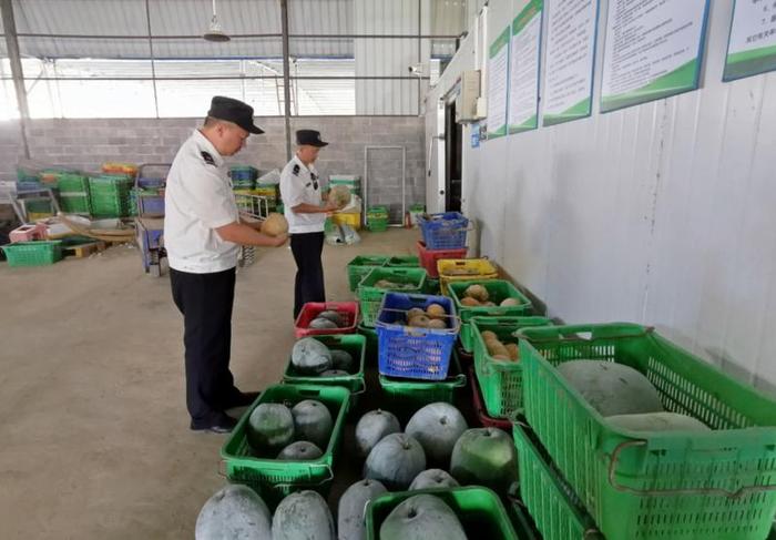 我市著力建設(shè)粵港澳大灣區(qū)菜籃子果盤子米袋子 食用農(nóng)產(chǎn)品供給持續(xù)升級